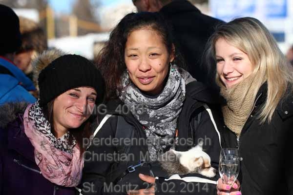 IMG 4013 prot